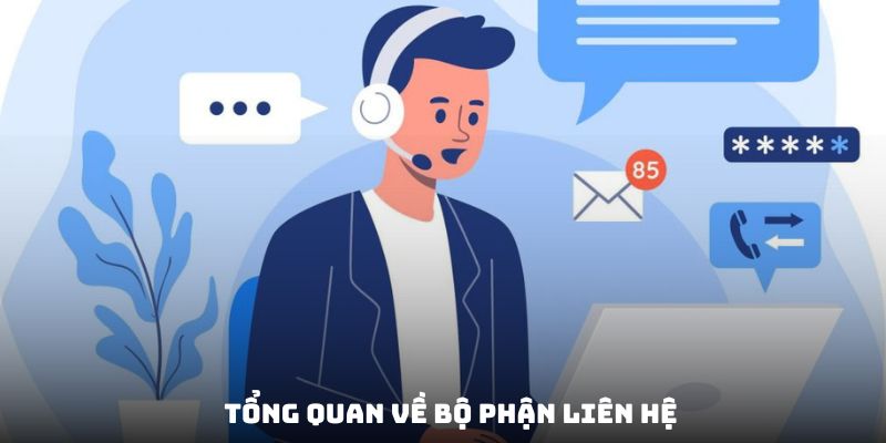 Cái nhìn bao quát về chuyên mục liên hệ